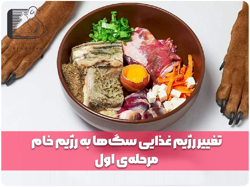 تغییر رژیم غذایی سگ‌ها به رژیم خام: مرحله‌ی اول